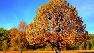 Prognoza meteo 7 septembrie: Vreme frumoasă în aproape toată țara! Sunt șanse slabe de ploi