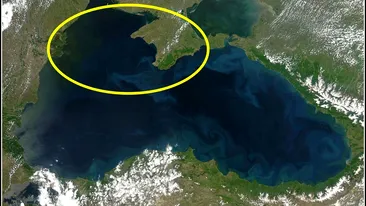 Ce s-a găsit în Marea Neagră nu s-a mai văzut până acum. Experții consideră că este cel mai mare din lume, iar la nivel mondial sunt destul de rare