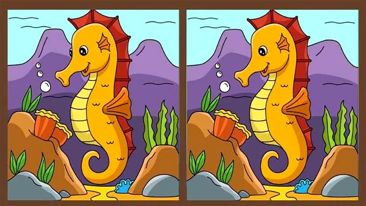 Test de inteligență | Aceste două imagini par identice, dar nu sunt. Găsiți 3 diferențe în 16 secunde!