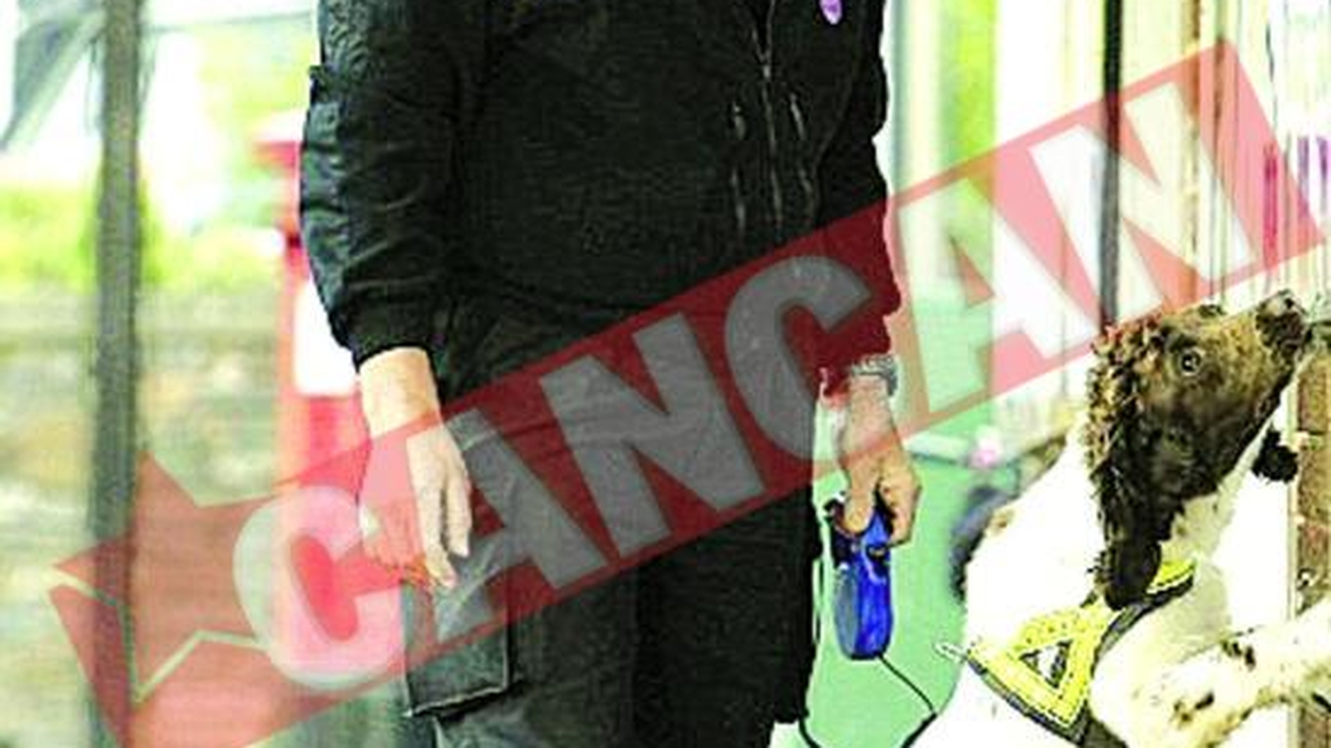 Cainii politisti, obligati sa poarte botosi