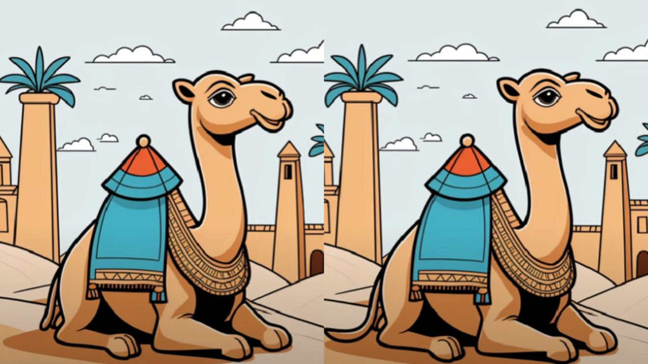 Test IQ | Găsește toate diferențele dintre aceste 2 imagini. Dacă o faci în 25 de secunde, ești un geniu