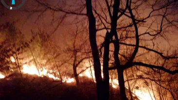 După 10 zile de intervenții continue, incendiul de la Oituz a fost stins! Flăcările au distrus 35 de hectare de pădure