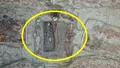 Descoperire arheologică rară în România! Ce s-a găsit?