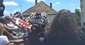 Galerie foto - poza 1