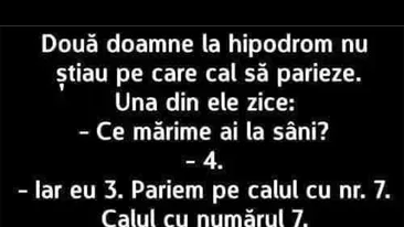 BANC | Două doamne la hipodrom
