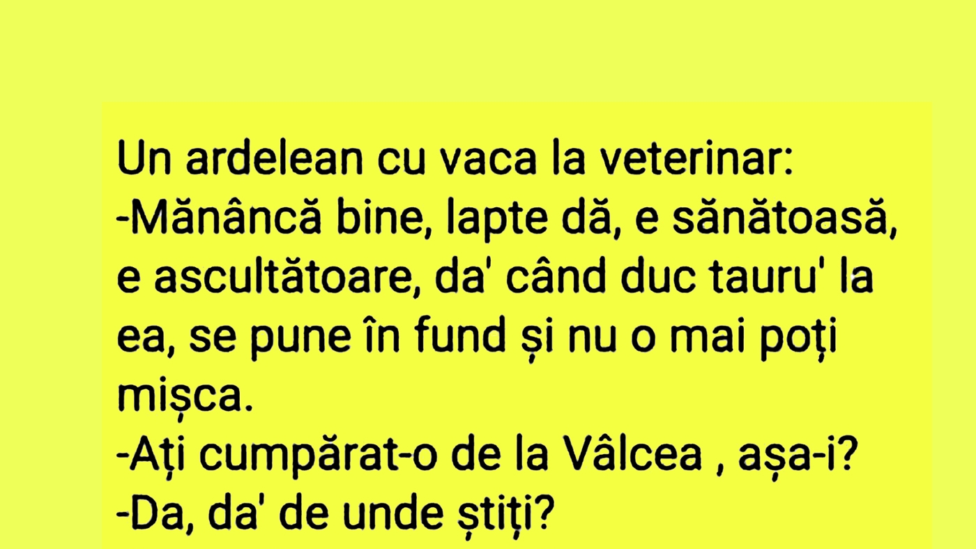 BANC | Un ardelean duce vaca la veterinar