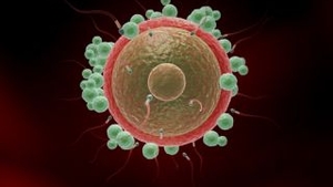 Prima celula vie cu genom sintetic, creata de cercetatorii americani