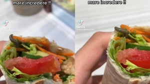 Viermi în mâncarea de la Pep & Pepper, restaurantul din Plaza România, mall-ul din Sectorul 6 al Capitalei – VIDEO