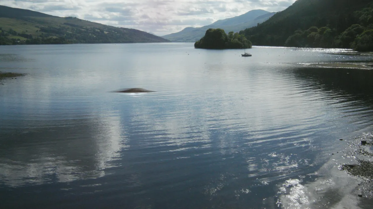 Intalnire de gradul 3! Raportul ingrijorator al politiei scotiene a socat pe toata lumea. Extraterestrii, tot mai prezenti!