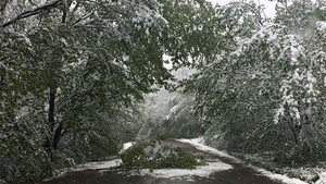 METEO 14 IANUARIE! ANM a emis cod galben de vânt! Care sunt zonele vizate