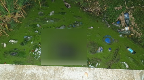 Bărbat găsit mort într-o piscină dezafectată în Constanța! În ce stare era cadavrul