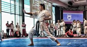 Galerie foto - poza 3