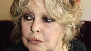 Reacţia actriţiei Brigitte Bardot după ce Parlamentul României a adoptat legea care permite eutanasierea câinilor maidanezi