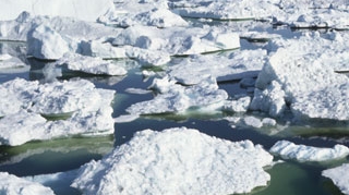 Anunt soc: Calota glaciala de la Polul Nord  s-ar putea topi complet pana in 2060