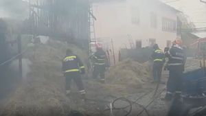 Incendiu violent la un adăpost de animale din Argeș. Zeci de porci au fost carbonizați