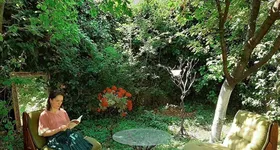 Galerie foto - poza 1