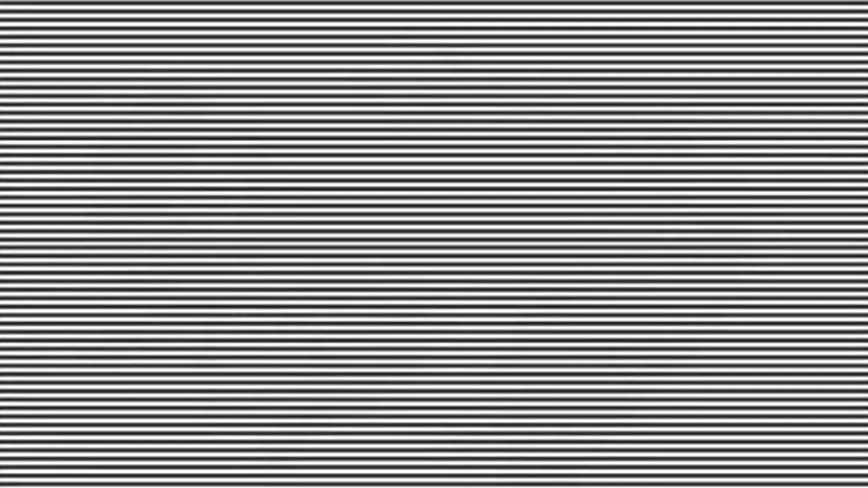 Iluzie optică virală | Ești un geniu dacă poți spune ce animal apare în această fotografie