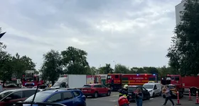 Galerie foto - poza 3