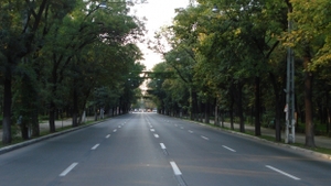 Şi-a făcut apariţia în centrul Bucureştiului şi trecătorilor nu le-a venit să creadă: "Nu stiu ce sa zic, chiar nu ma pot exprima!”