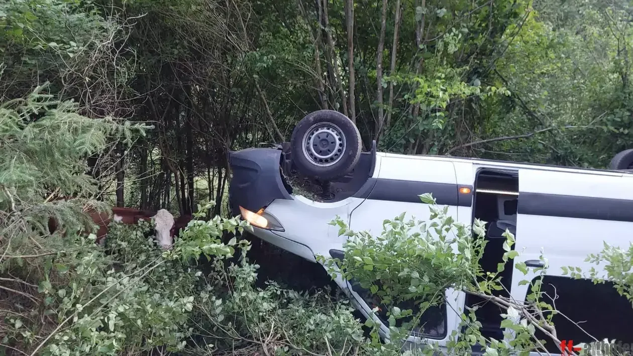 Opt români au fost implicați într-un accident rutier în Austria. Mai multe persoane au ajuns la spital