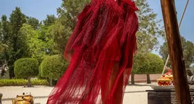 Galerie foto - poza 2