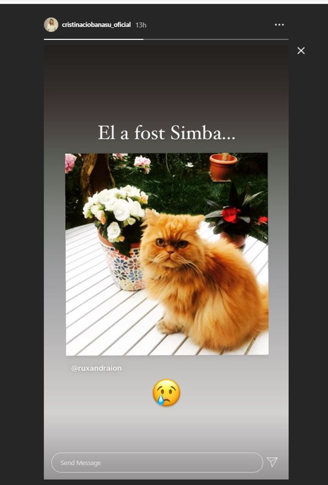 Cristina Ciobănașu și Vlad Gherman, în doliu. Cu lacrimi în ochi, actorul a mărturisit: “L-a găsit mort…”