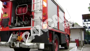 Mai multe bombe descoperite intr-o padure cuprinsa de un incendiu, unele explodand din cauza focului