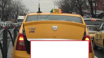 Imaginea zilei! Cum şi-a transportat un taximetrist porcul de Crăciun prin Bucureşti: E normal să umbli aşa cu porcul prin oraş?
