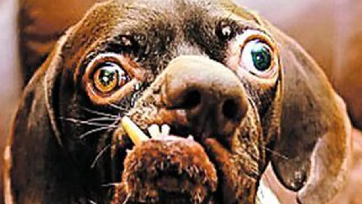 Sunt urat, da' ma iubeste cineva!