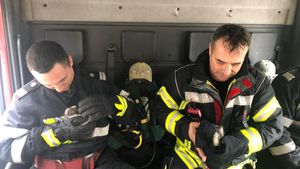 Operațiune de salvare emoționantă a pompierilor. Doi pui de iepure, scoși din flăcări. FOTO&VIDEO