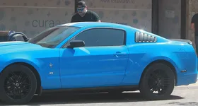 Galerie foto - poza 3