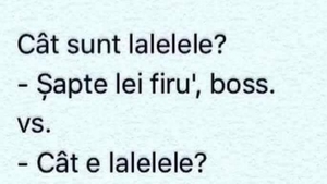 BANCUL ZILEI | "Cât sunt lalelele?" "7 lei firu', boss!"