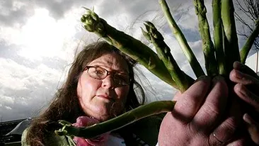 Ghiceste in sparanghel