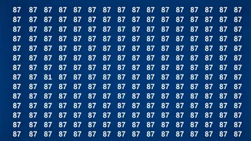 Test de perspicacitate | Nu toate numerele din această imagine sunt 87. Găsiți-l pe cel diferit!