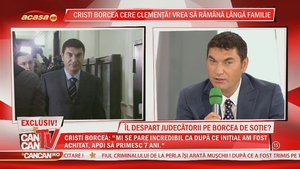 Borcea: "Nu voi pleca din ţară până la finalizarea procesului! Durerea mare este că se revarsă asupra copiilor!"