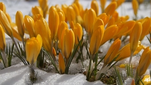 Prognoza meteo 28 martie: Vreme caldă și frumoasă în mare parte a țării