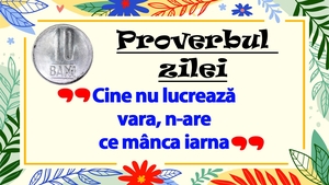 PROVERBUL ZILEI | Cine nu lucrează vara, n-are ce mânca iarna