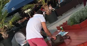 Galerie foto - poza 2