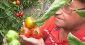 Galerie foto - poza 1