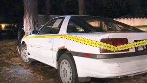 Vecinii au sunat rapid la Poliţie, după ce au văzut un bărbat izbit de un copac în urma unui accident de maşină. Scenele desprinse din filmele de groază aveau însă un alt adevăr în spate