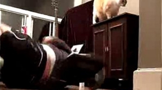 VIDEO A vrut sa slabeasca, dar si-a suparat pisoiul