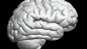 Implantul cerebral cu matase, eficient in tratarea epilepsiei