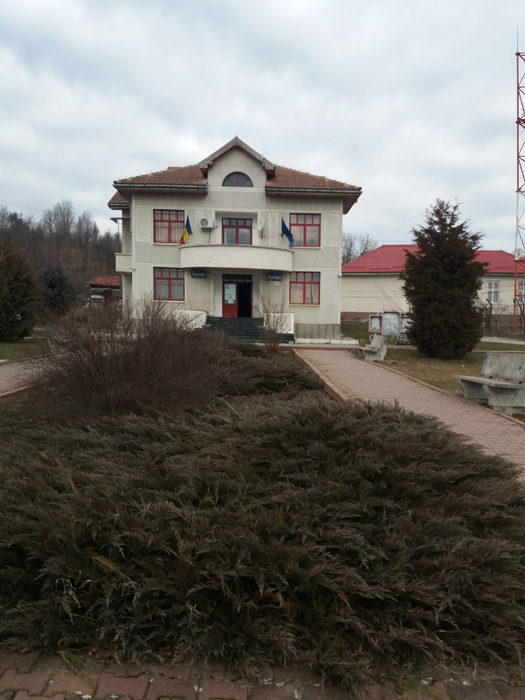 Primăria din Secu, locul de muncă al şoferului umilit de primar