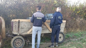S-au tras focuri de armă la granița de nord! Doi români încercau să bage în țară marfă ilegală, cu căruța
