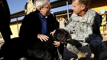 Da-ne cainele si iti dam tatal!