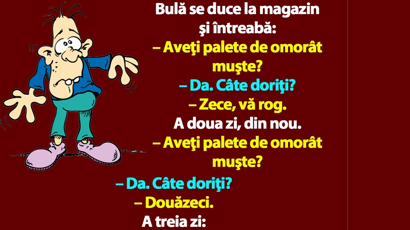 BANC | Bulă se duce la magazin şi întreabă: "Aveţi palete de omorât muşte?"