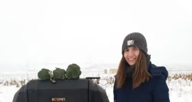 Galerie foto - poza 1