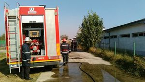 FOTO Peste 1.500 de porci au murit arşi de vii într-o crescătorie din Băileşti. Un om e în stare critică