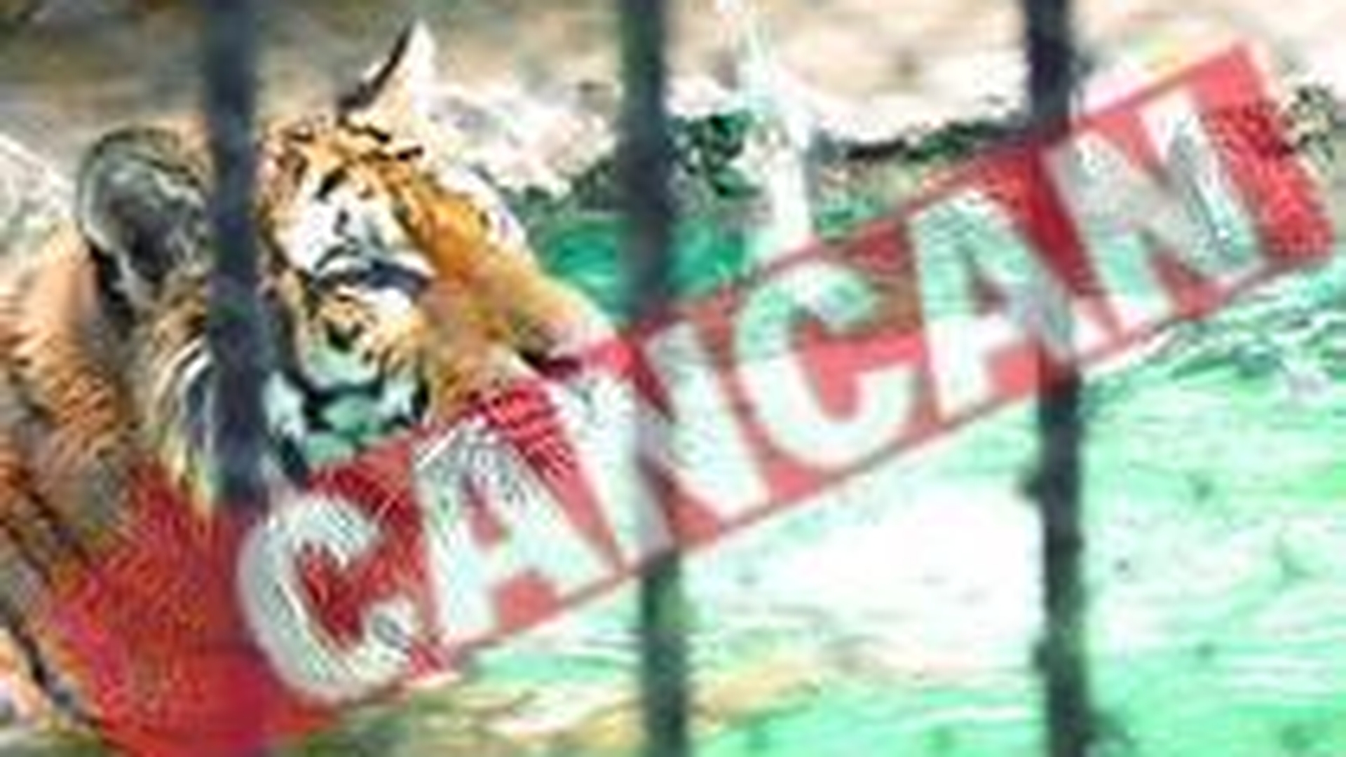 Caldura a naucit animalele de la Zoo