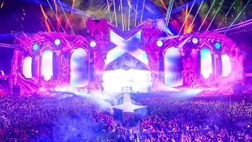 Imagini șocante la Untold! Cântărețul a oprit concertul, după ce a văzut cum o femeie era agresată de iubit în public